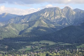 Thumbnail for 6941046