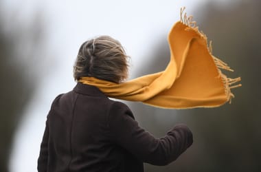 Thumbnail for 6941711