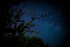 Thumbnail for 6941871