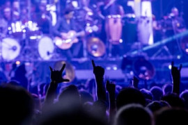 Thumbnail for 6942006