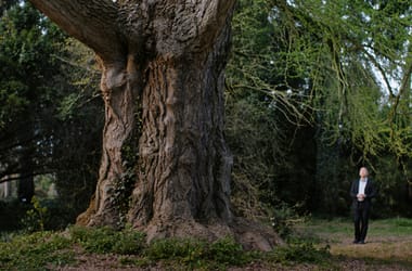 Thumbnail for 6942150