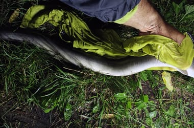 Thumbnail for 6943033