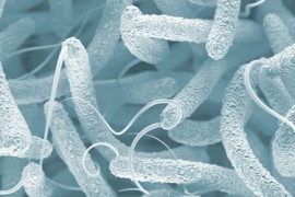 Thumbnail for 6943315