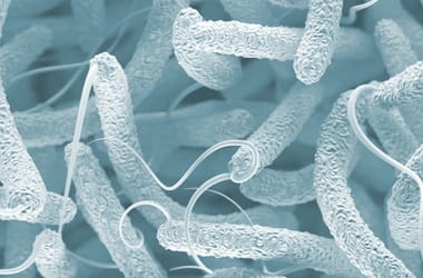 Thumbnail for 6943315