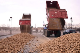 Thumbnail for 6944806