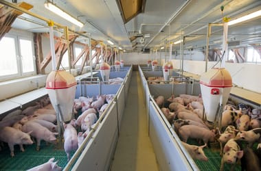 Thumbnail for 6945526