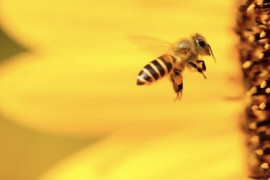 Thumbnail for 6945755