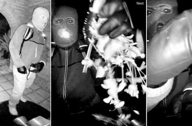 Thumbnail for 6945840