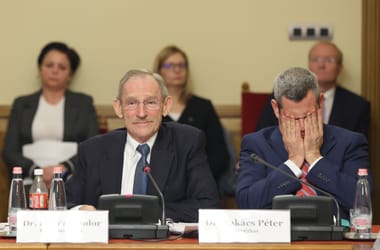 Thumbnail for 6945925