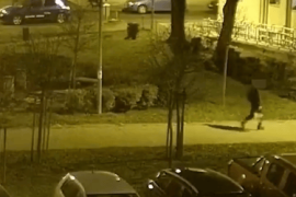 Thumbnail for 6946403