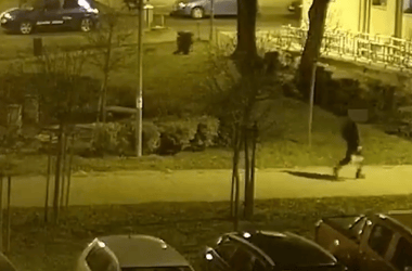 Thumbnail for 6946403