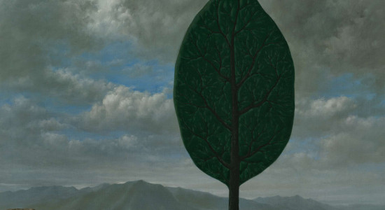 Thumbnail for 6946405