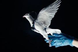 Thumbnail for 6946758