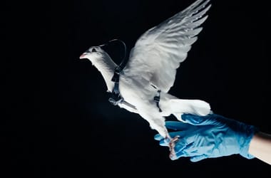 Thumbnail for 6946758