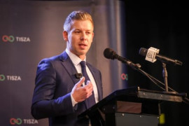 Thumbnail for 6947063