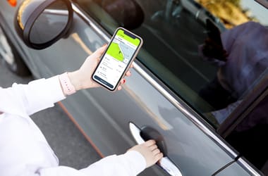 Thumbnail for 6947259