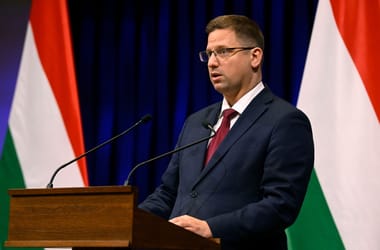 Thumbnail for 6947416