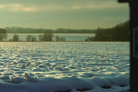 Thumbnail for 6948039