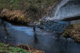 Thumbnail for 6948053