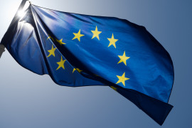 Thumbnail for 6948361