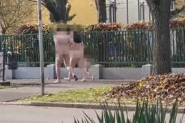 Thumbnail for 6948428