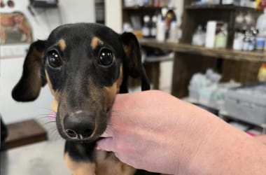 Thumbnail for 6949269