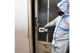 Thumbnail for 6949469