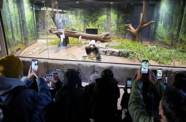 Thumbnail for 6949519