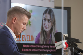 Thumbnail for 6950258