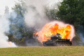 Thumbnail for 6950581