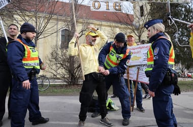 Thumbnail for 6950596