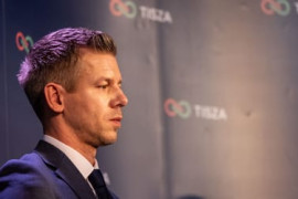 Thumbnail for 6950810