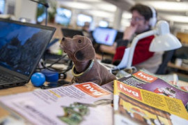 Thumbnail for 6951008