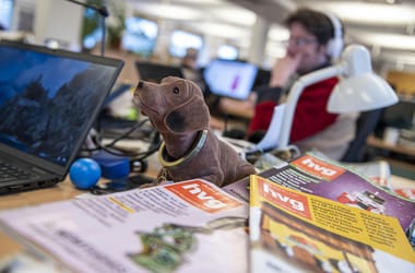 Thumbnail for 6951008