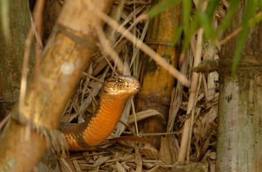 Thumbnail for 6951116