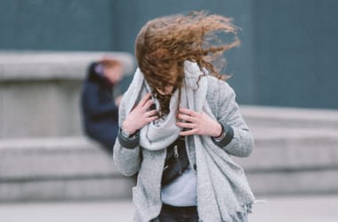 Thumbnail for 6951343