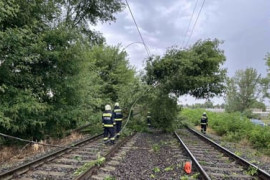 Thumbnail for 6951418