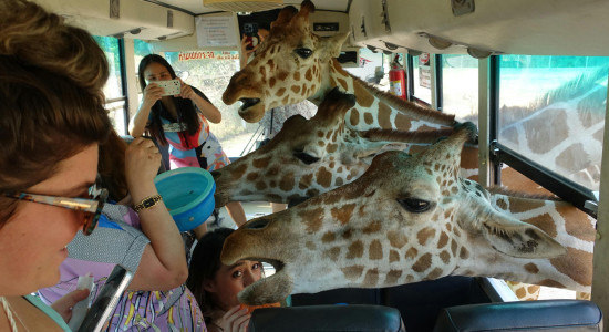 Thumbnail for 6951563