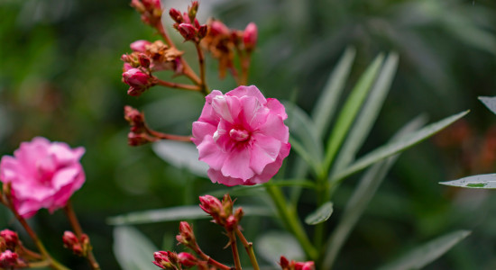 Thumbnail for 6951622