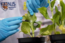 Thumbnail for 6951813