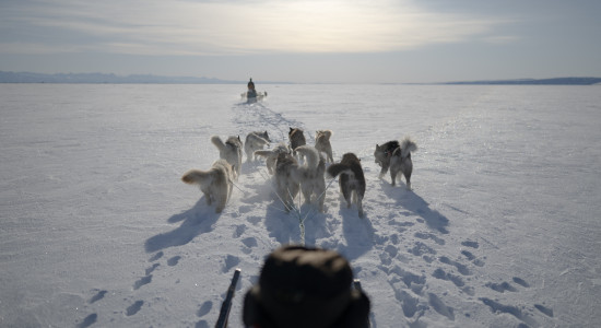 Thumbnail for 6951896