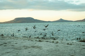 Thumbnail for 6952123