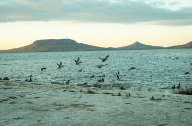 Thumbnail for 6952123