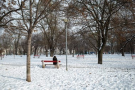 Thumbnail for 6952297