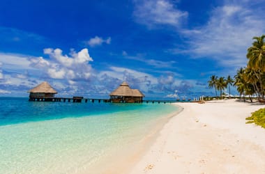 Thumbnail for 6953022