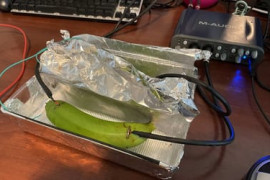 Thumbnail for 6953026