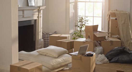 Thumbnail for 6953192