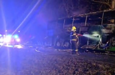 Thumbnail for 6954098