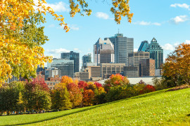 Thumbnail for 6954115