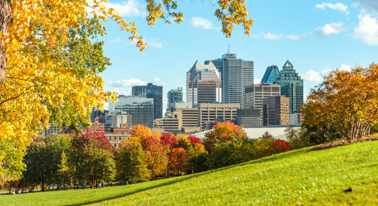 Thumbnail for 6954115